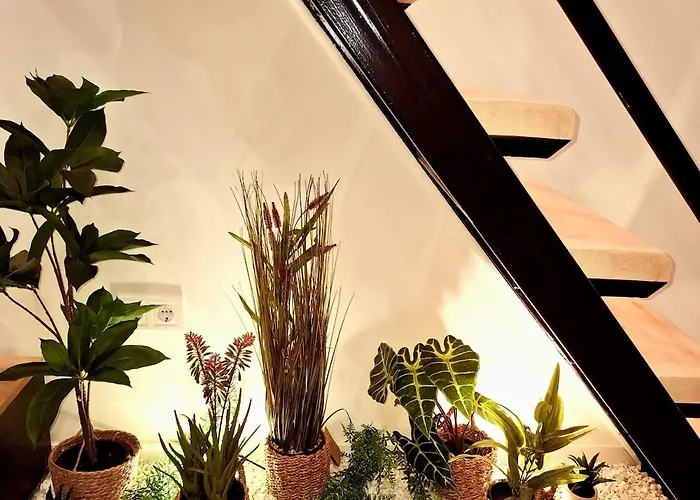 The Buda Garden B * Budapesta